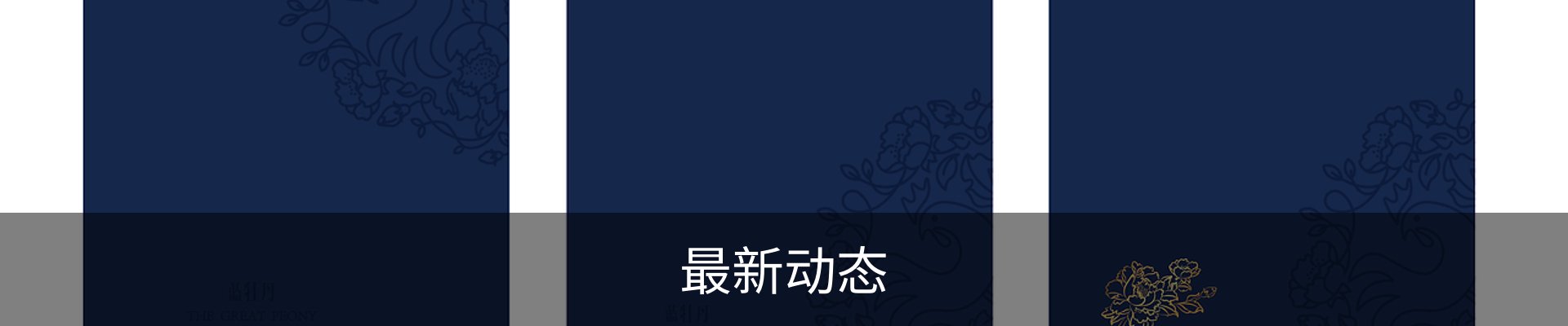 最新动态